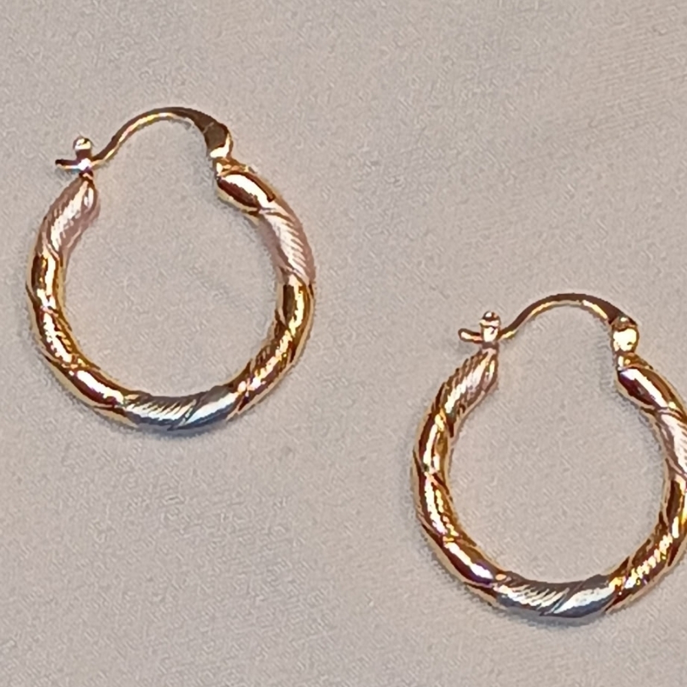 Elegant Gold and Silver Hoop Earrings